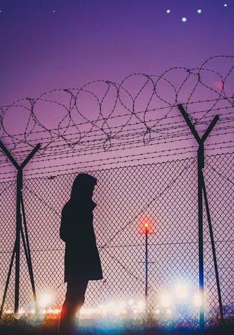 Barbed Fence